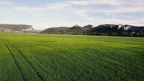 Aerial green fields during summer with mountains on background. Stock footage.