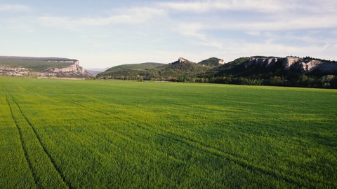Aerial green fields during summer with mountains on background. Stock footage.
