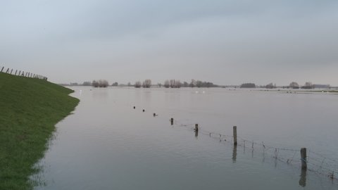 High water level on the floodplains of the river IJssel near the city of Zwolle in Overijssel during winter after heavy rainfall upstream.