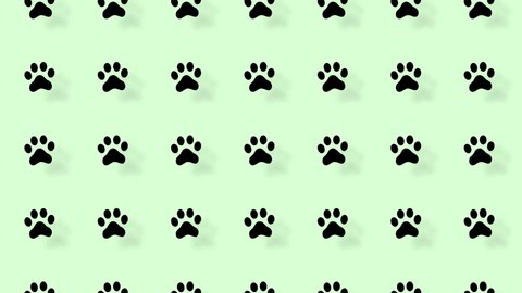 Colorful pattern of cat paws on green background with shadows. Seamless pattern with cat paw. Top view. Animal silhouette. 4K video motion