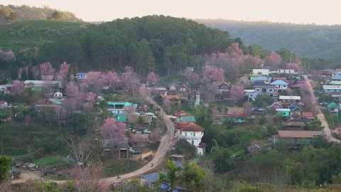 Pink Village Ban Rong Kla Phitsanulok, Thailand. The landmark tourist in the winter season amazing Thailand.
