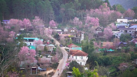 Amazing pink village in Thailand. Ban Rong Kla Phitsanulok Province video footage 4K 