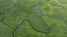 The twisted river meanders through the swamp. Shooting from bird's eye view. Location place Ukraine, Europe. Aerial footage, cinematic drone shot. Filmed UHD in 4k video. Discover the beauty of earth.