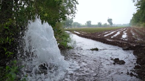 Irrigation water flow from pipe to canal for agriculture fields , slow motion water flash