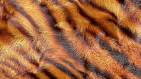 Tiger fur texture, 3d animation of gently waving fluffy fur.