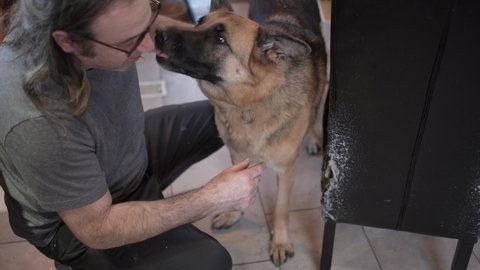 Man scolding his german shepherd dog for destroying a leather chair. He is screaming at his dog pointing the damaged furniture.