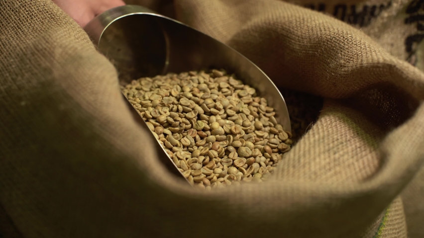 fresh green coffee beans in textile bags, roastery warehouse Royalty-Free Stock Footage #1086107054
