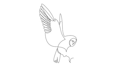 19 Simple Owl Drawing Stock Video Footage - 4K and HD Video Clips | Shutterstock 19 Simple Owl Drawing Stock Video Footage - 4K and HD Video Clips | Shutterstock