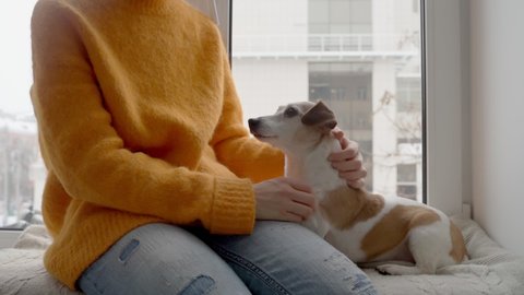 Dog and owner gentle moment. Relaxing at cozy home atmosphere. snowing outside. Woman in orange jumper and jeans petting small cute dog. Pet relaxing. trust and love family moment 