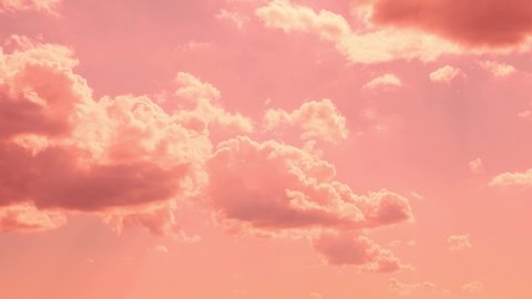 Soaring Coral Pink Cumulus Clouds in an Coral Pink Clear Sky at Dawn Sunrise, Beauty, Relaxation, Timelapse, Background. Abstract. Time lapse Cloud Beautiful Sky.