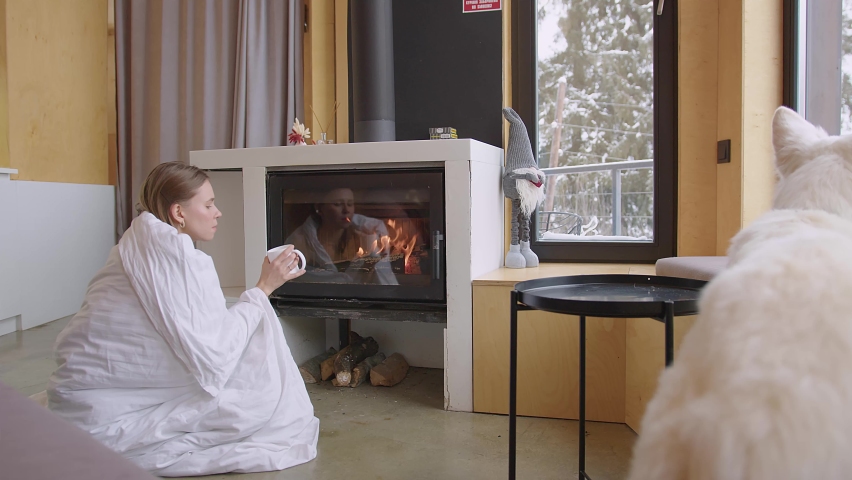 a girl sits on the floor wrapped in a blanket, drinking tea and looking at the burning firewood in the fireplace. Nearby, a large white dog looks out the window at the snow that falls on the trees