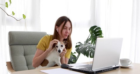 Young woman works on a laptop while sitting with her adorable Jack Russell Terrier. Happy young female pet owner look at laptop with dog. Cute adorable puppy look at movie. Girl and her dog have fun