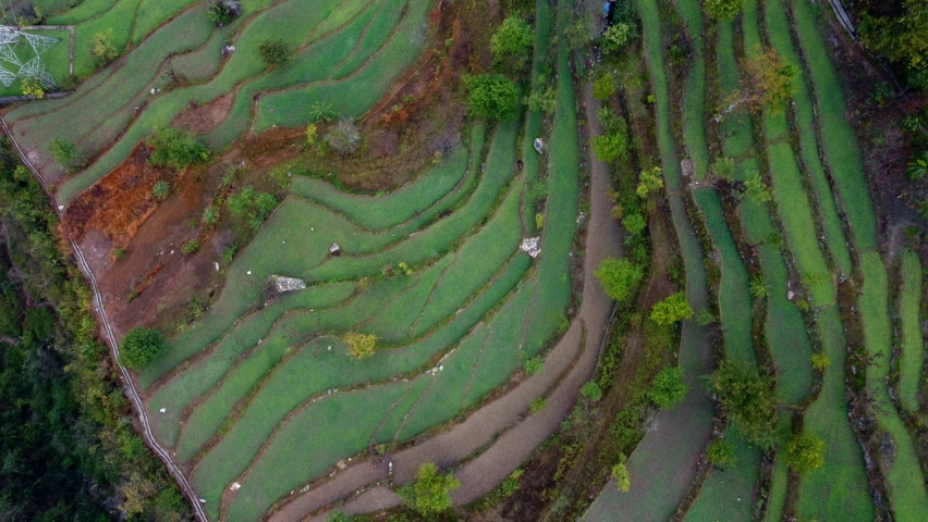 Farming on cliff of mountains