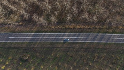 Aerial shot of gray passenger car on the road through wooded landscape in fall, top down perspective from drone pov