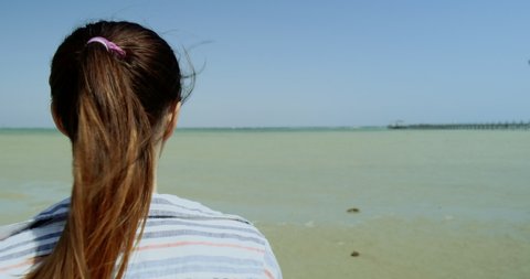 girl with red hair with a tail, looks at the low tide of the ocean, a light breeze blows, a clear day, view from the back, close-up : vidéo de stock