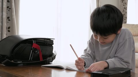 Elementary school boy studying in the living room