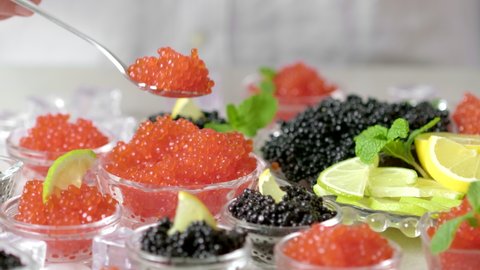 Hand with spoon takes of caviar from the glass jar. Bowls with red salmon and black beluga sturgeon salted roe caviar on tasting table. Hands pick caviar in spoon Set delicious snacks on banquet