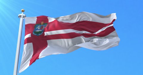Florida Department Flag, Uruguay. Loop