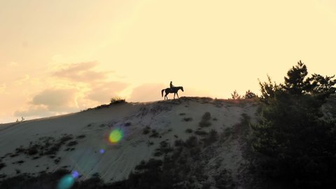 Horse riding. Equitation. Silhouette of horsewoman is riding a horse on sandy hill, towering over pine forest, at sunset, in warm summer sun rays. sunset sky background