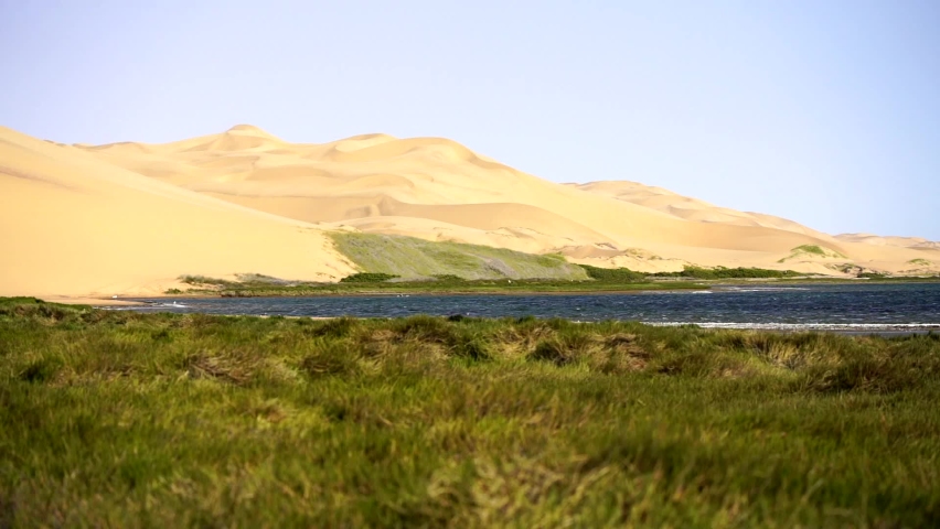 A green oasis at the coastline of the Namibian desert, Skeleton Coast, Swakopmund, Walvis bay