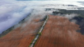 The country road passing through the agricultural lands is covered with fog. Footage from a bird's eye view. Ukraine, Europe. Cinematic drone shot. Filmed UHD 4k video. Discover the beauty of earth.