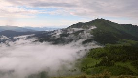 Mountains rise above the clouds of thick fog. Footage from a bird's eye view. Location place Carpathian mountains, Ukraine, Europe. Time lapse clip. Filmed in UHD 4k video. Beauty of earth.