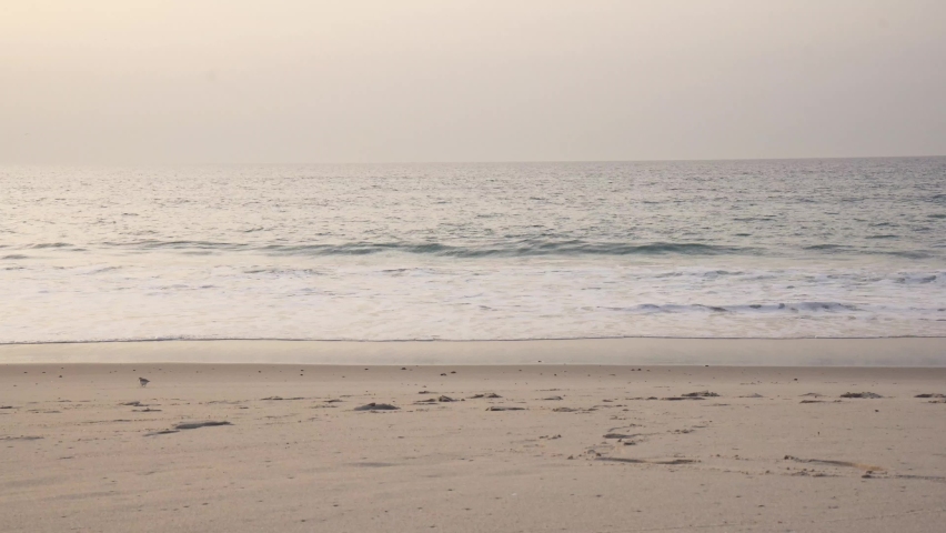 Beatiful sea with bird in the sand 