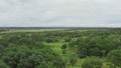 Aerial view of the nature of Paraguay. Forests with trees and fields with agro fields for growing vegetables in a beautiful landscape.