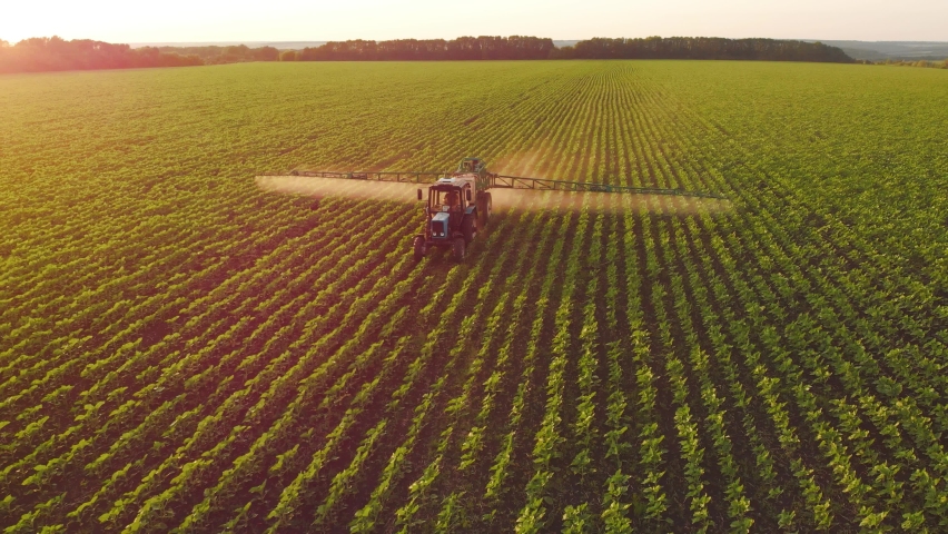 Aerial view of farming tractor spraying on field with sprayer, herbicides and pesticides at sunset. Farm machinery spraying insecticide to the green field, agricultural natural seasonal spring works.