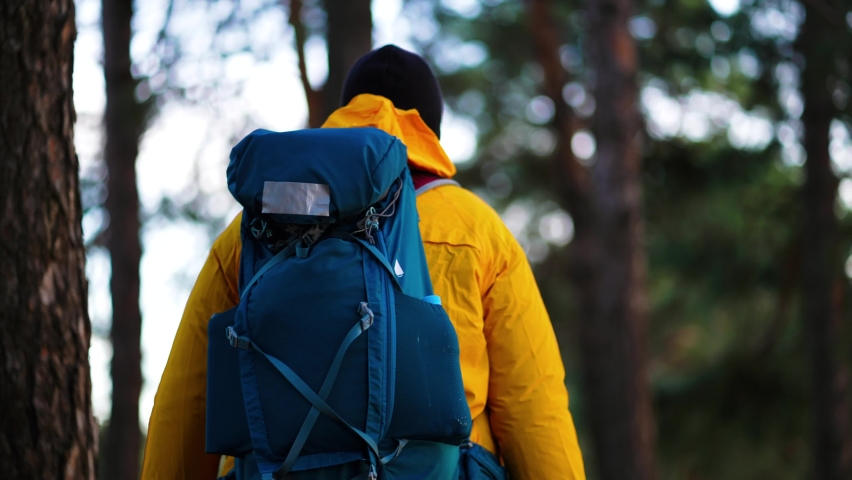 Back view hiker man goes with big backpack through dense green forest.
