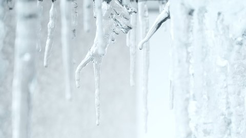 Incredible macro shot of water dripping from end of thawing icicle melting in winter, Looping possible