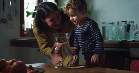 Cinematic shot of happy mother explaining and showing to het curious happy little toddler boy how to feed and take care of domestic goldfishes swimming in fishbowl in kitchen at home.
