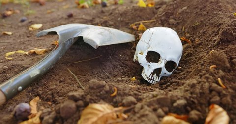 Burying skull under the soil with shovel camera sliding in