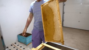 Apiarist holds a honeycomb frame full of honey. Wax cells are filled with honey and half-sealed. Beekeeper is taking instrument to open sealed honey cells. - Powered by Shutterstock - Get 15% off with code: PIKWIZARD15