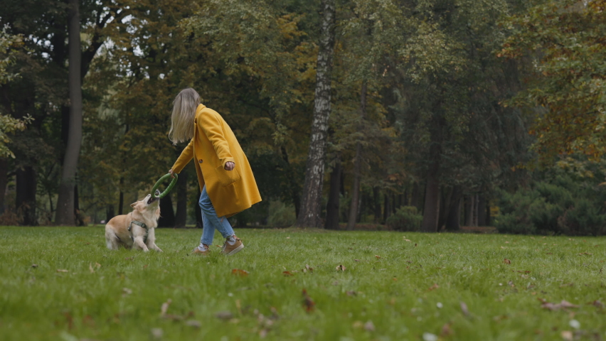 Happy caucasian woman and golden french retriever playing with rubber puller among city park. Active dog and female owner enjoying time on fresh air.