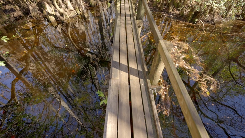 Walking trail with single sided handrail over swamp land Florida