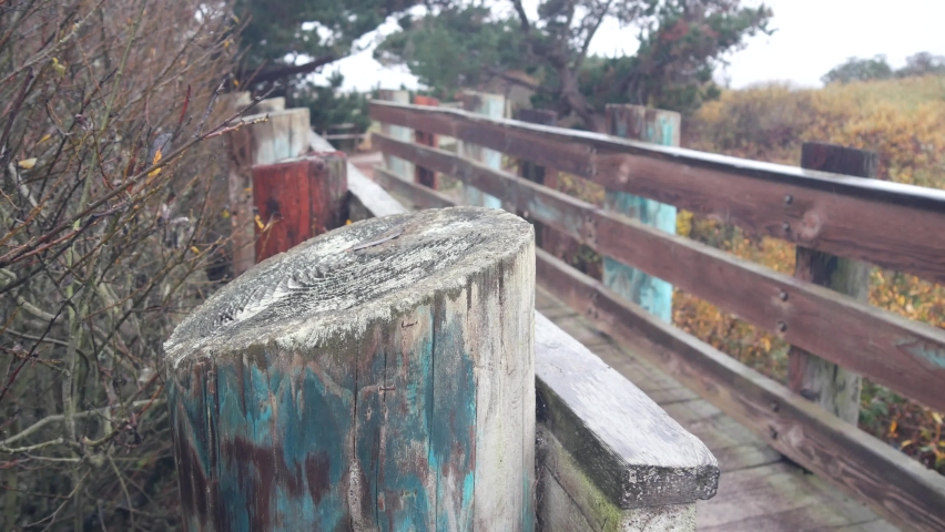 Wooden bridge on footway trail, boardwalk path for trekking, hiking in forest. Footpath or pathway for ecotourism, catwalk footbridge. Rainy foggy autumn weather. Monterey nature, California, USA.