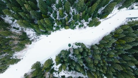 Line of people skiing in narrow evergreen Breckenridge slope - aerial top down