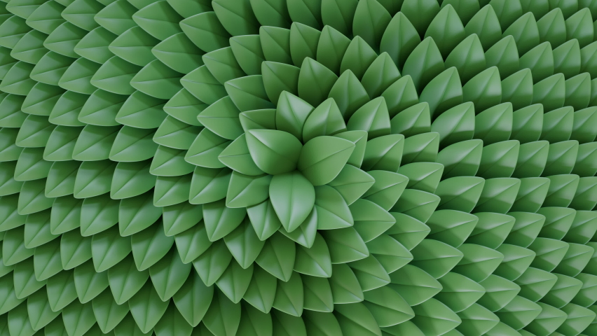 Abstract blooming animation. Green Spring leaves.