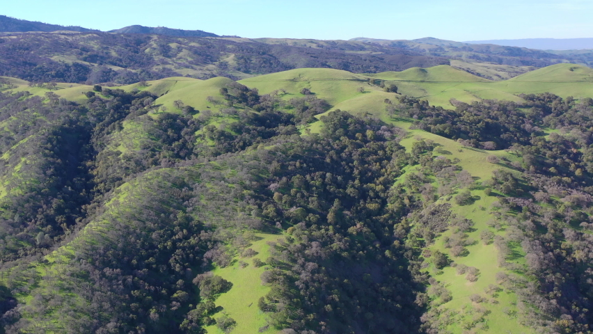 Green grass and oak trees cover the rolling hills and valleys of the Tri-valley area of Northern California, just east of San Francisco Bay. This beautiful region is known for its many vineyards.