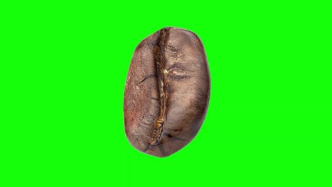 Coffee Bean 3D - 360 Rotation Turntable Footage - Green Screen Background - View Angled 1