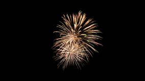 Celebration fireworks isolated on black sky background. 4k motion video.