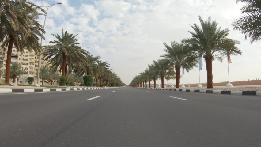 Middle eastern road trip, first-person view in a moving car on a road along palm trees.