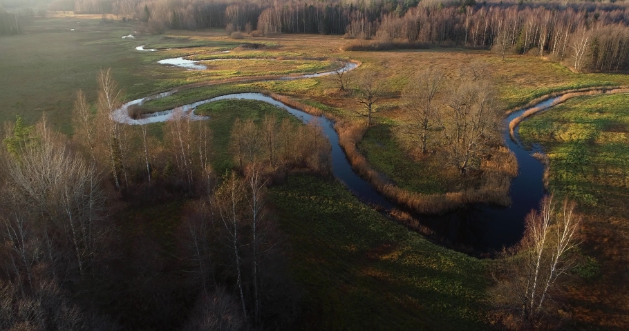 Large Oak trees next to a small river on an late autumn evening on Mulgi wooded meadow in Soomaa National Park.