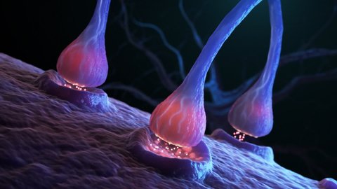 Synapse and Neuron cells sending electrical chemical signals . 3D animation