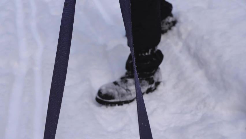 Point of view of a passenger on a sledge