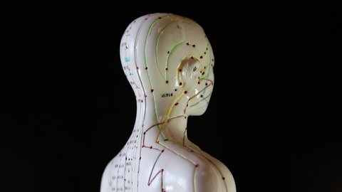 Mannequin rotation with acupuncture points and meridians.