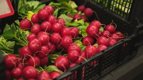 Plastic Crate Box Of Fresh Radish in Grocery Store Vegetables Stand