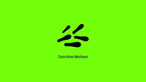 Clostridium botulinum icon animation best simple object on green screen background