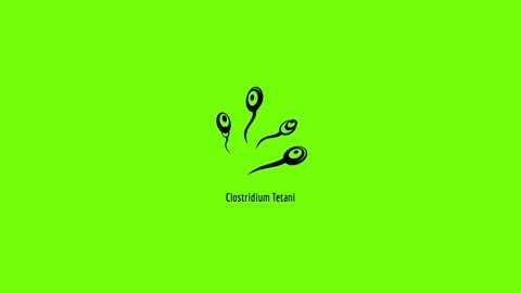 Clostridium tetani icon animation best simple object on green screen background
